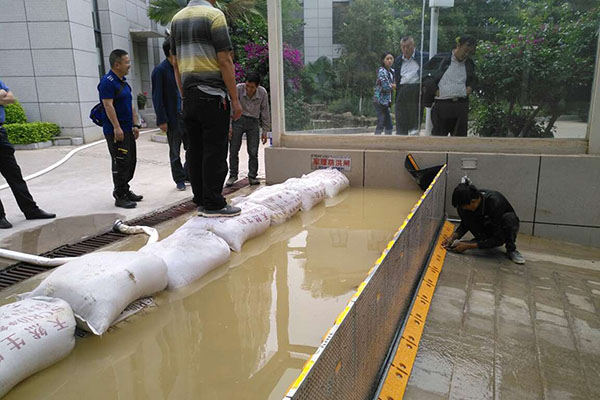 广东省车库自动防洪应用